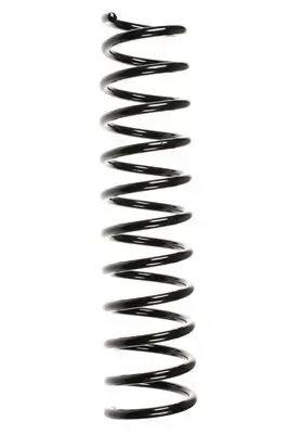 Fahrwerksfeder Hinterachse SPIDAN 49396