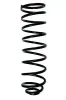 Fahrwerksfeder Hinterachse SPIDAN 49462