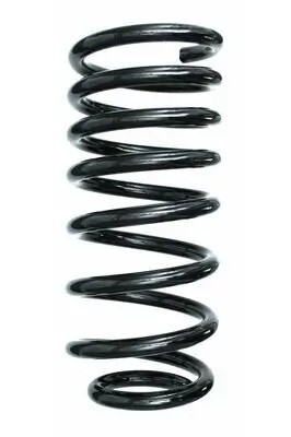 Fahrwerksfeder Hinterachse SPIDAN 49463