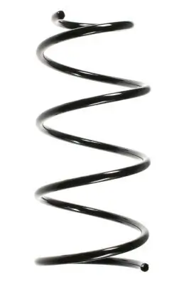 Fahrwerksfeder Hinterachse SPIDAN 49481
