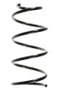 Fahrwerksfeder Hinterachse SPIDAN 49481