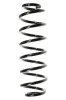 Fahrwerksfeder Hinterachse SPIDAN 49489
