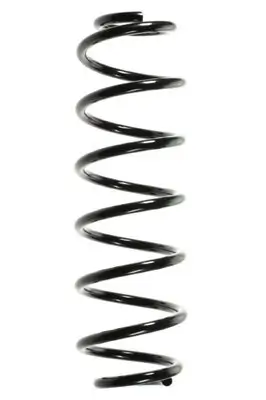 Fahrwerksfeder Hinterachse SPIDAN 49495 Bild Fahrwerksfeder Hinterachse SPIDAN 49495