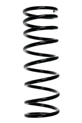 Fahrwerksfeder Hinterachse SPIDAN 49510