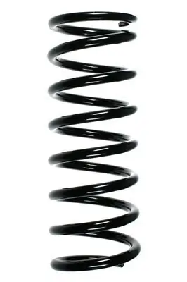 Fahrwerksfeder Hinterachse SPIDAN 49521