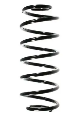 Fahrwerksfeder Hinterachse SPIDAN 49524