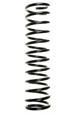 Fahrwerksfeder Hinterachse SPIDAN 49535