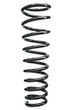Fahrwerksfeder Vorderachse SPIDAN 49541