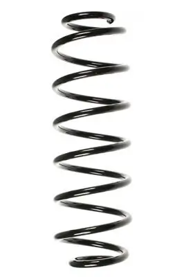 Fahrwerksfeder Hinterachse SPIDAN 49546