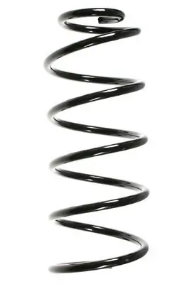 Fahrwerksfeder Vorderachse SPIDAN 49548