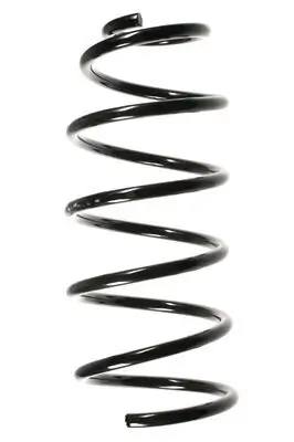 Fahrwerksfeder Vorderachse SPIDAN 49554