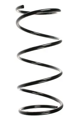 Fahrwerksfeder Vorderachse SPIDAN 49561