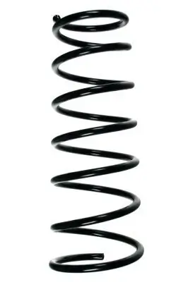 Fahrwerksfeder Hinterachse SPIDAN 49574