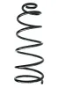 Fahrwerksfeder Vorderachse SPIDAN 49599