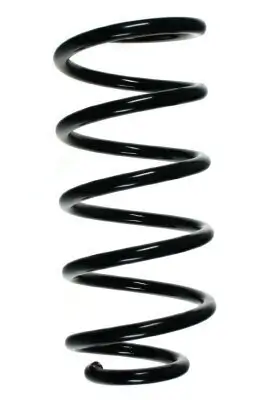 Fahrwerksfeder Hinterachse SPIDAN 49600 Bild Fahrwerksfeder Hinterachse SPIDAN 49600