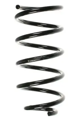 Fahrwerksfeder Hinterachse SPIDAN 49617