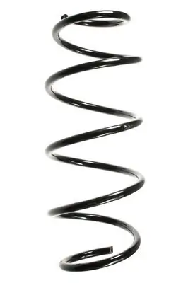 Fahrwerksfeder Vorderachse SPIDAN 49620