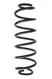 Fahrwerksfeder Hinterachse SPIDAN 49630