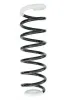 Fahrwerksfeder Hinterachse SPIDAN 49693