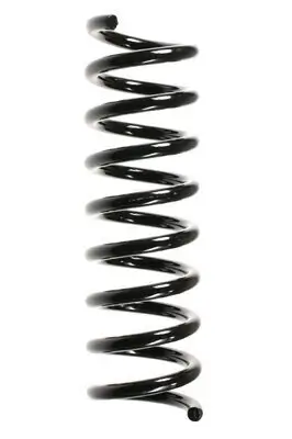Fahrwerksfeder Hinterachse SPIDAN 49702