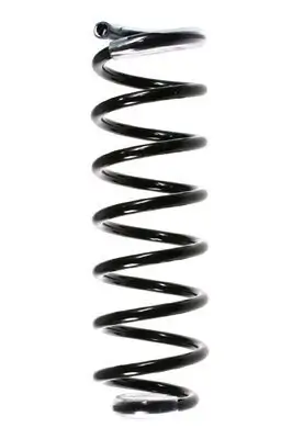 Fahrwerksfeder Hinterachse SPIDAN 49721