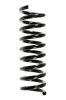 Fahrwerksfeder Hinterachse SPIDAN 49729