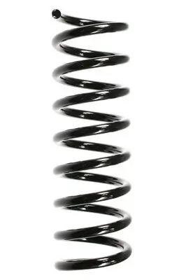 Fahrwerksfeder Vorderachse SPIDAN 49733