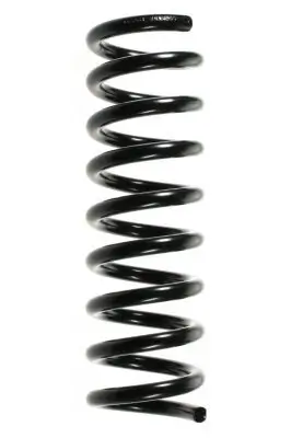 Fahrwerksfeder Hinterachse SPIDAN 49735