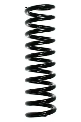 Fahrwerksfeder Hinterachse SPIDAN 49739