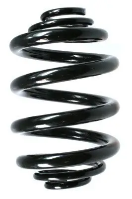 Fahrwerksfeder Hinterachse SPIDAN 49764