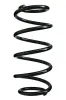 Fahrwerksfeder Vorderachse SPIDAN 49774