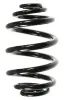 Fahrwerksfeder Hinterachse SPIDAN 49796