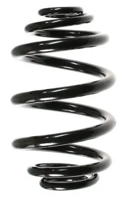 Fahrwerksfeder Hinterachse SPIDAN 49796 Bild Fahrwerksfeder Hinterachse SPIDAN 49796