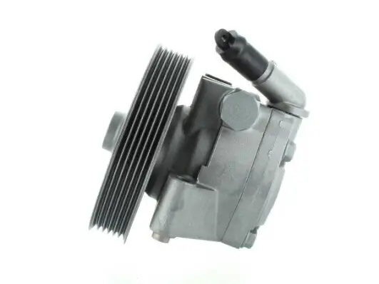 Hydraulikpumpe, Lenkung SPIDAN 52600 Bild Hydraulikpumpe, Lenkung SPIDAN 52600