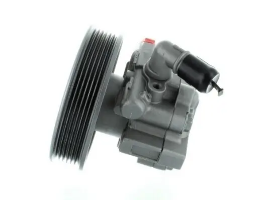 Hydraulikpumpe, Lenkung SPIDAN 52687 Bild Hydraulikpumpe, Lenkung SPIDAN 52687