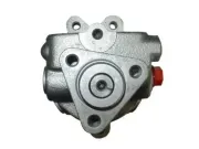 Hydraulikpumpe, Lenkung SPIDAN 54309
