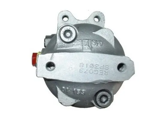 Hydraulikpumpe, Lenkung SPIDAN 54309 Bild Hydraulikpumpe, Lenkung SPIDAN 54309