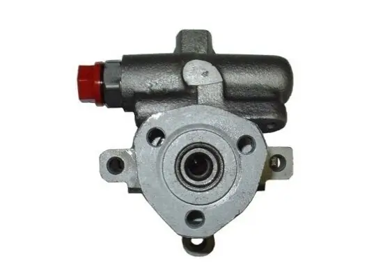 Hydraulikpumpe, Lenkung SPIDAN 53555 Bild Hydraulikpumpe, Lenkung SPIDAN 53555