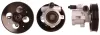 Hydraulikpumpe, Lenkung SPIDAN 53571