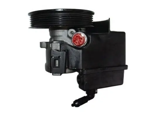 Hydraulikpumpe, Lenkung SPIDAN 53597 Bild Hydraulikpumpe, Lenkung SPIDAN 53597