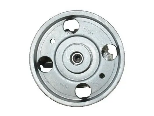 Hydraulikpumpe, Lenkung SPIDAN 53666