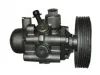 Hydraulikpumpe, Lenkung SPIDAN 53666 Bild Hydraulikpumpe, Lenkung SPIDAN 53666