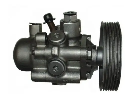 Hydraulikpumpe, Lenkung SPIDAN 53666 Bild Hydraulikpumpe, Lenkung SPIDAN 53666
