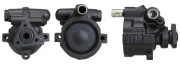 Hydraulikpumpe, Lenkung SPIDAN 53672