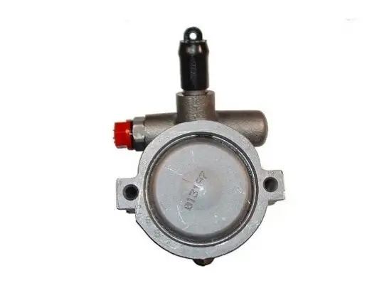 Hydraulikpumpe, Lenkung SPIDAN 53697 Bild Hydraulikpumpe, Lenkung SPIDAN 53697