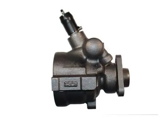 Hydraulikpumpe, Lenkung SPIDAN 53697 Bild Hydraulikpumpe, Lenkung SPIDAN 53697
