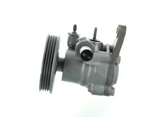 Hydraulikpumpe, Lenkung SPIDAN 53810 Bild Hydraulikpumpe, Lenkung SPIDAN 53810