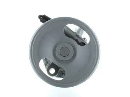 Hydraulikpumpe, Lenkung SPIDAN 53818