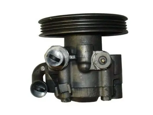 Hydraulikpumpe, Lenkung SPIDAN 53821 Bild Hydraulikpumpe, Lenkung SPIDAN 53821
