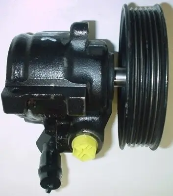 Hydraulikpumpe, Lenkung SPIDAN 53846